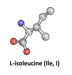 L-Isoleucine