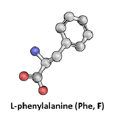 L-Phenylalanine
